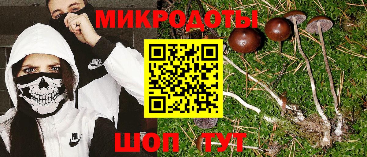 Галлюциногенные грибы GOLDEN TEACHER Саянск