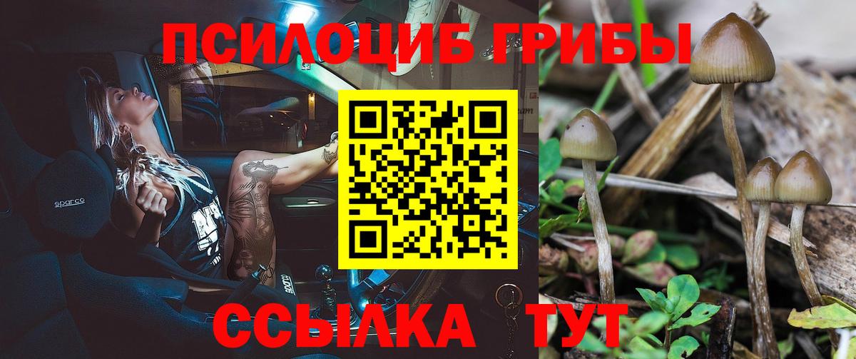 где можно купить наркотик  Псилоцибиновые грибы мицелий  Вход с VPN  Саянск 